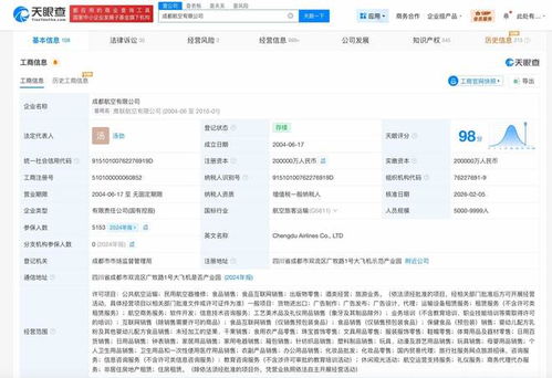 成都航空增資至20億 以信息技術咨詢服務為翼，展翅高飛