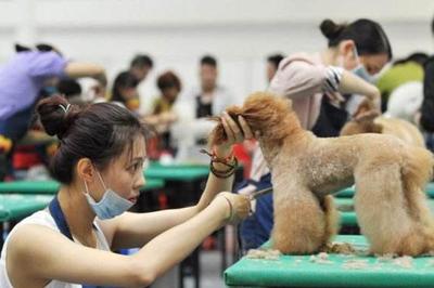 中國寵物經濟強勢爆發 方博士寵物DR引領寵物醫療與寵物服務新生態