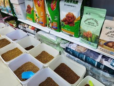 寵物流行外賣服務，鄭州一月破千不是夢！