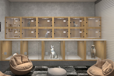 寵物店引領專業養護新潮流——全方位寵物服務的創新與未來