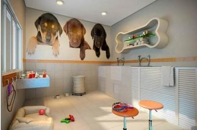 開一家寵物店需要多少錢？——寵老板為您詳細解析